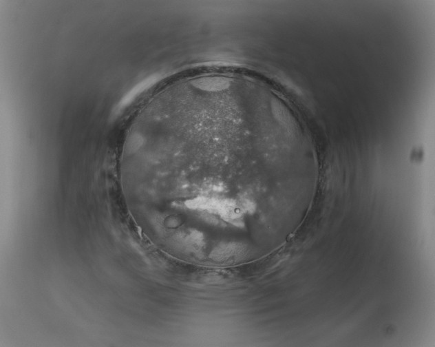 X0000113231255200909241514