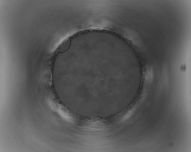 X0000113231256200909241514