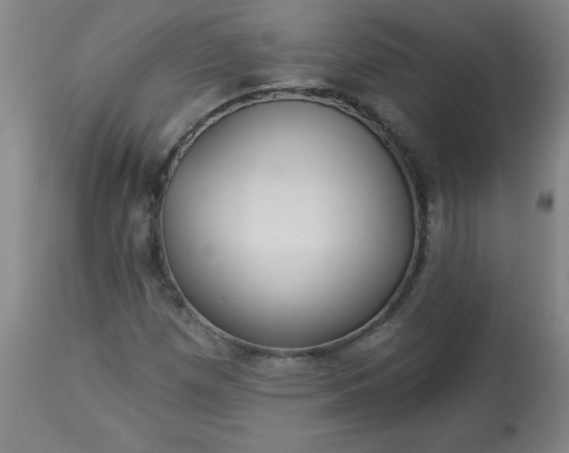 X0000113231257200909241514