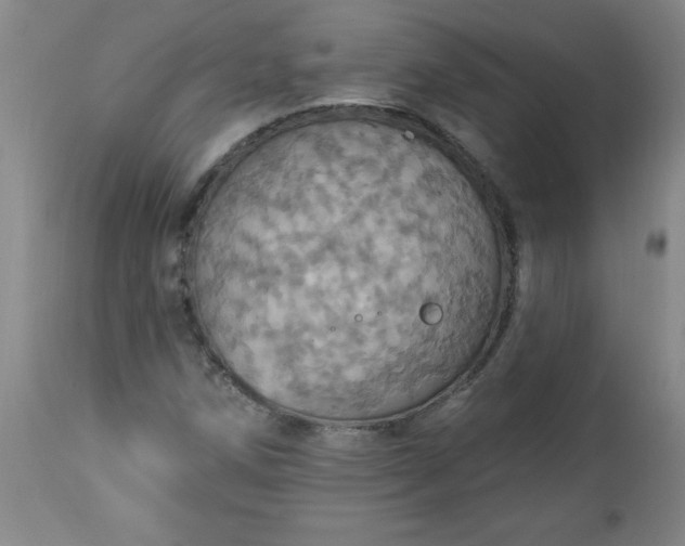 X0000113231258200909241514