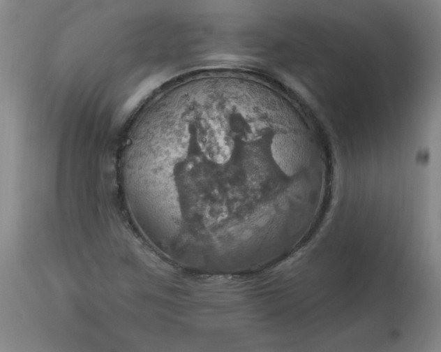 X0000113231259200909241514