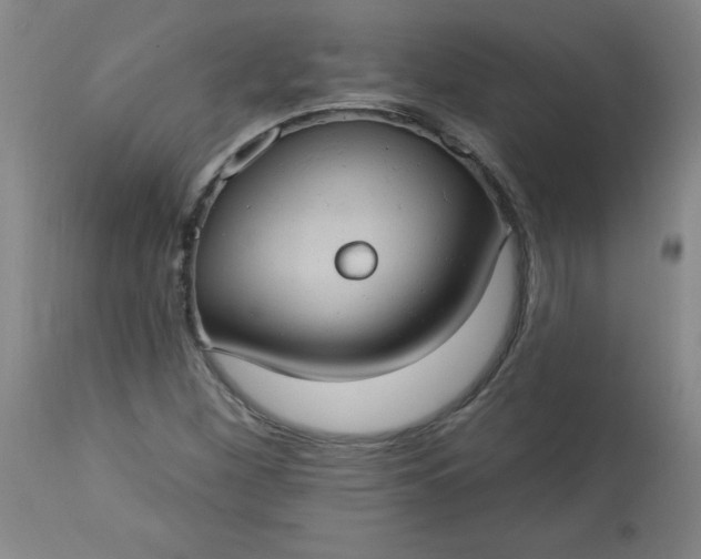 X0000113231260200909241514