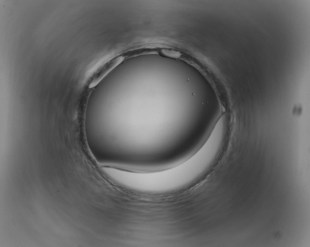 X0000113231261200909241514