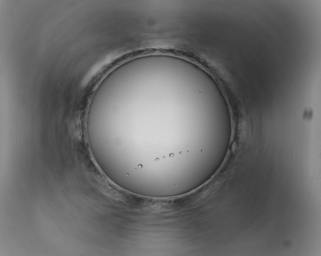 X0000113231262200909241514