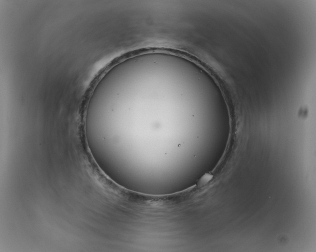 X0000113231264200909241514