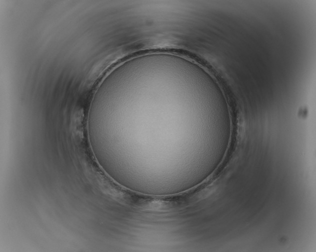 X0000113231265200909241514