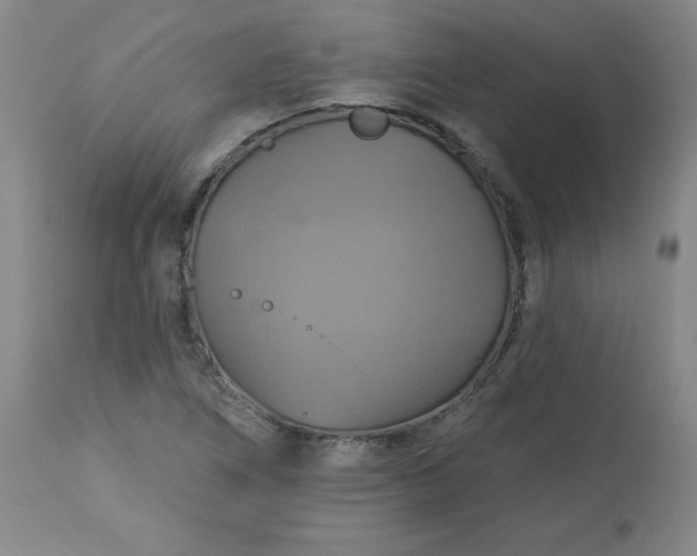 X0000113231266200909241514