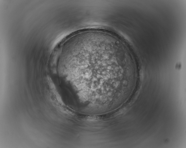 X0000113231267200909241514