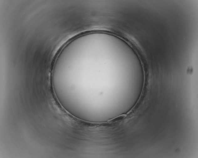 X0000113231268200909241514