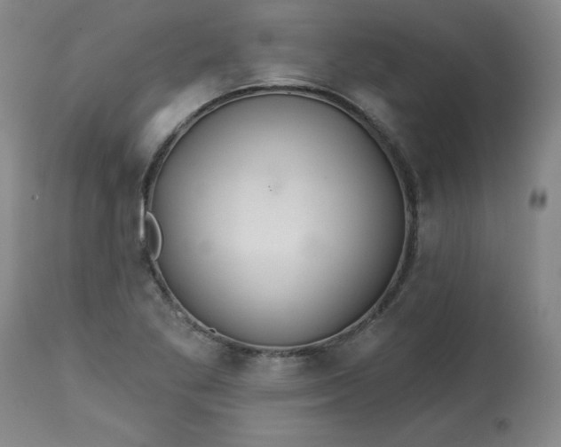 X0000113231269200909241514