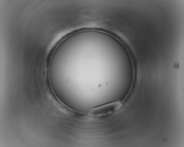 X0000113231270200909241514