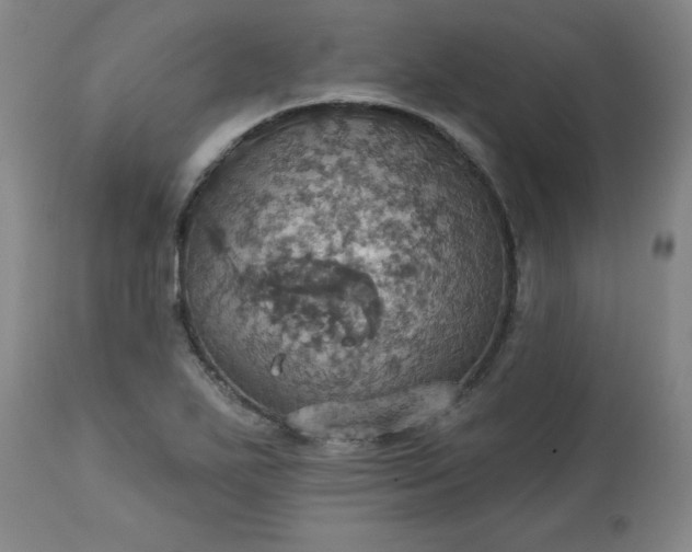 X0000113231271200909241514