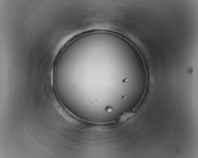 X0000113231272200909241514