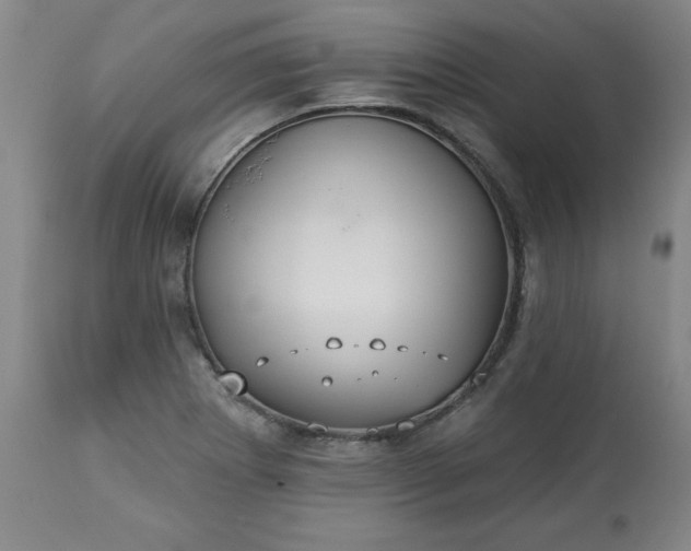 X0000113231273200909241514