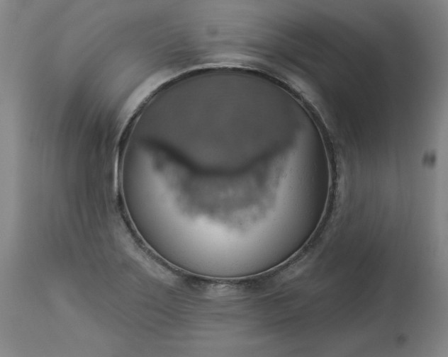 X0000113231275200909241514