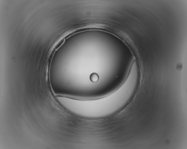 X0000113231276200909241514