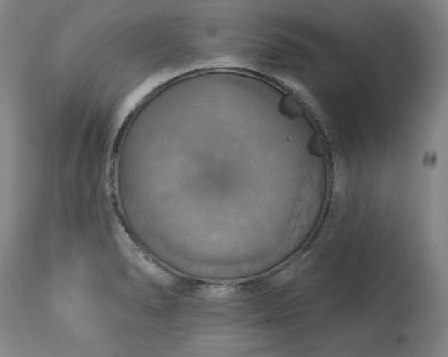 X0000113231278200909241514