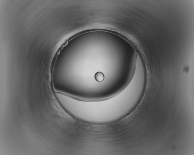 X0000113231280200909241514