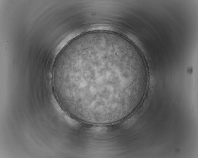 X0000113231282200909241514