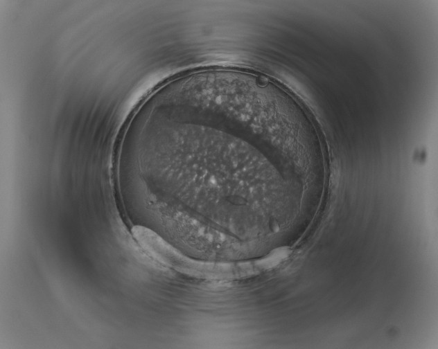 X0000113231283200909241514