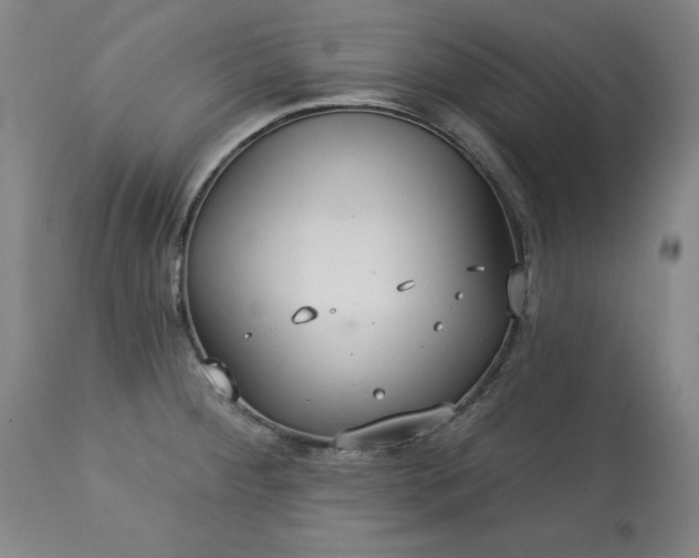 X0000113231284200909241514