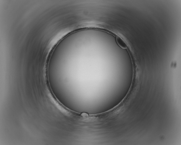 X0000113231285200909241514