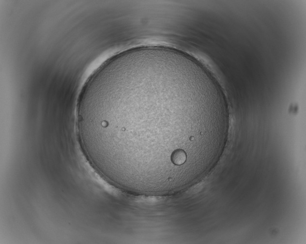 X0000113231286200909241514