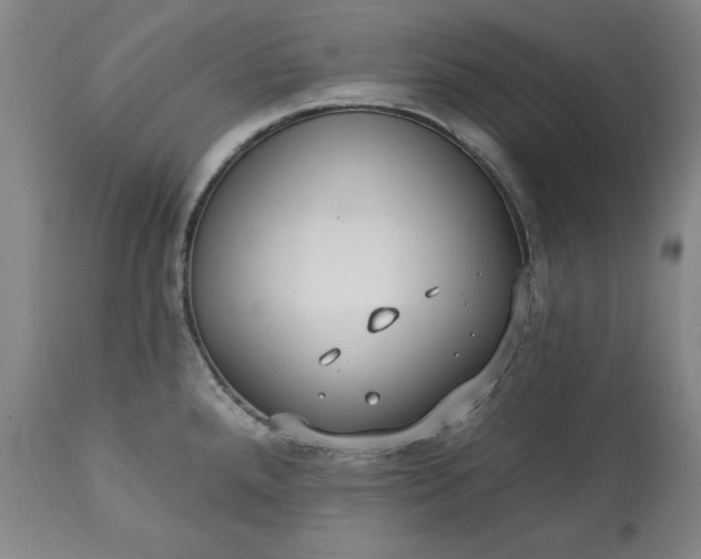 X0000113231288200909241514