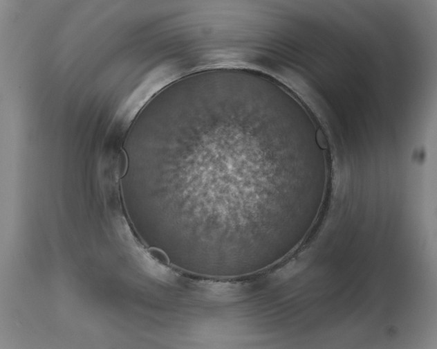 X0000113231289200909241514