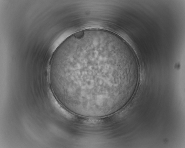 X0000113231290200909241514