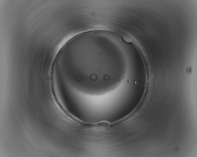 X0000113231291200909241514