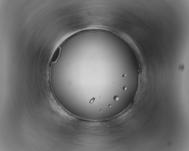 X0000113231292200909241514