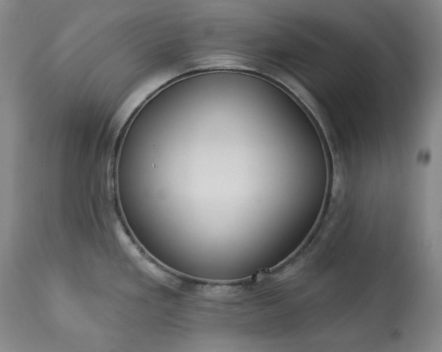 X0000113231293200909241514