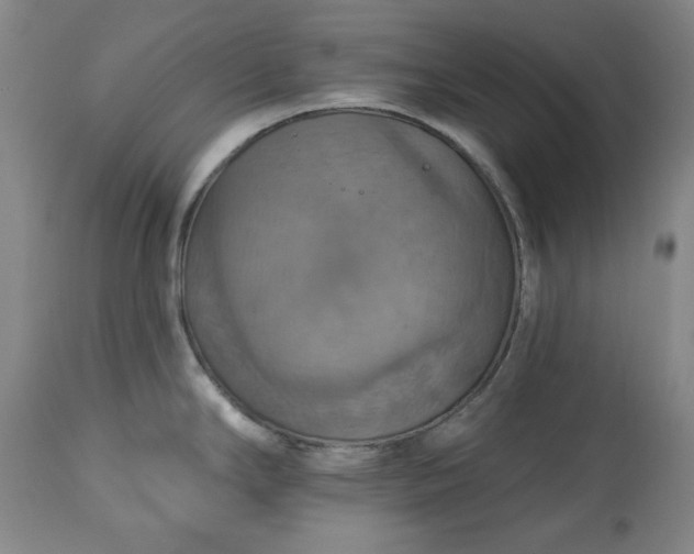 X0000113231294200909241514