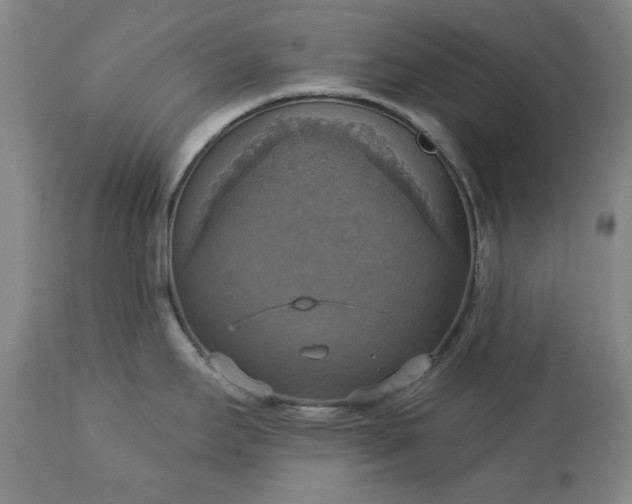 X0000113231295200909241514