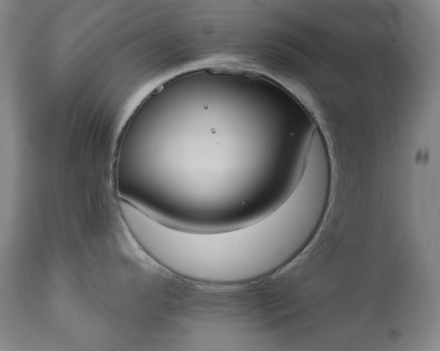 X0000113231296200909241514