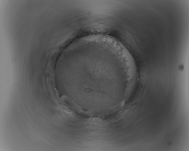 X0000113231297200909241513