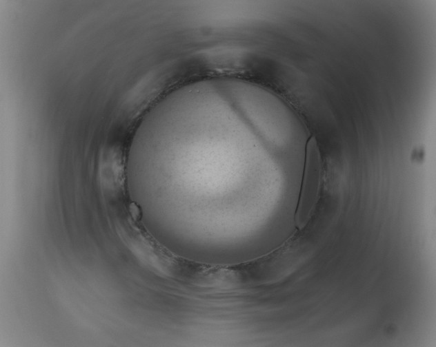 X0000113231298200909241513