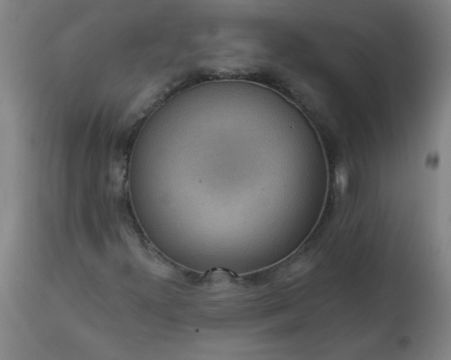 X0000113231300200909241513