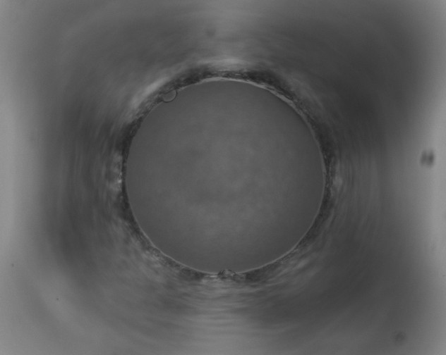 X0000113231301200909241513