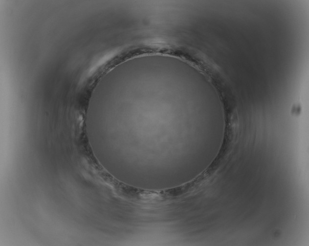 X0000113231302200909241513