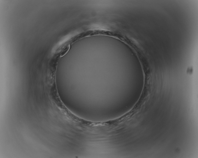 X0000113231303200909241513