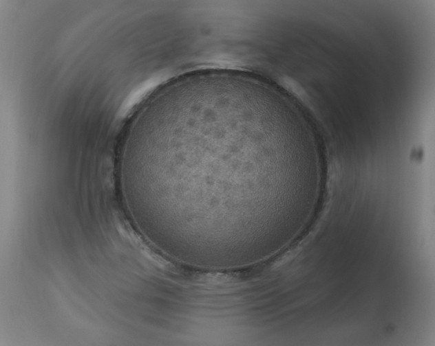 X0000113231307200909241513