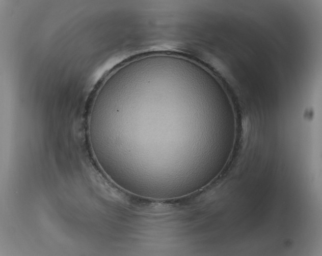 X0000113231308200909241513