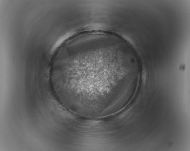 X0000113231309200909241513