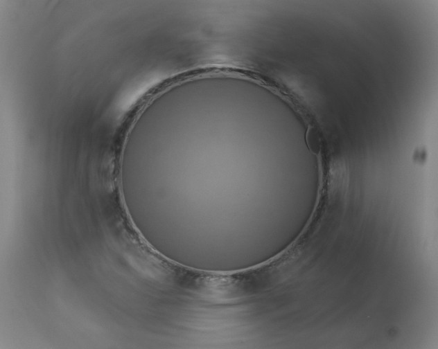 X0000113231310200909241513