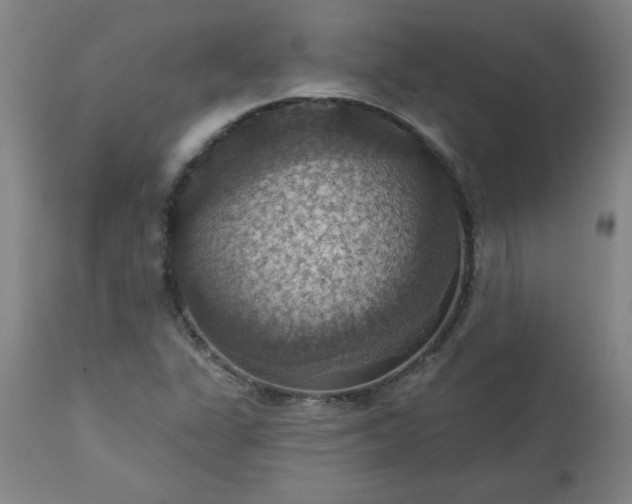 X0000113231311200909241513