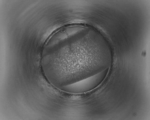 X0000113231313200909241513