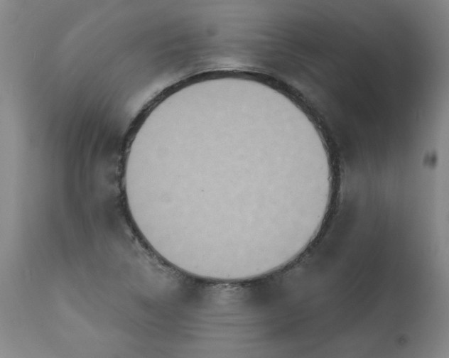 X0000113231314200909241513