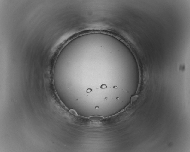 X0000113231315200909241513